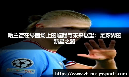 yy体育