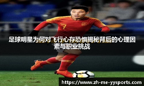 易游体育网页版