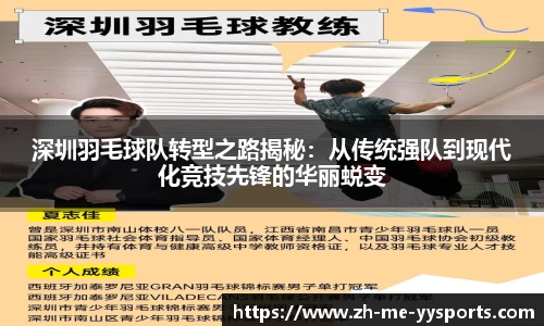 易游体育网页版