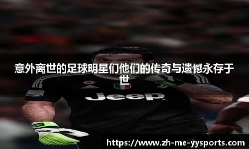 yy体育